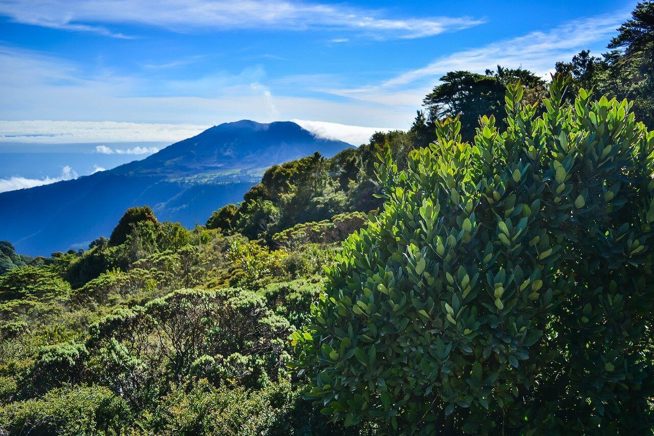 Costa Rica Temperatura Dell'acqua Del Mare Oggi E Previsioni