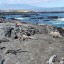 Orari delle maree sull'isola di Santa Cruz nei prossimi 14 giorni