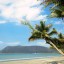 Previsioni meteo del mare e delle spiagge a Pantai Patawana nei prossimi 7 giorni
