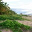Previsioni meteo del mare e delle spiagge a Iracoubo nei prossimi 7 giorni
