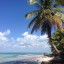 Orari delle maree a Punta Cana nei prossimi 14 giorni