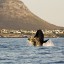 Orari delle maree a Città del Capo nei prossimi 14 giorni