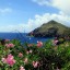 Orari delle maree a Sint Eustatius nei prossimi 14 giorni