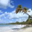 Orari delle maree a Petite-Terre Islands nei prossimi 14 giorni
