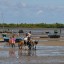 Orari delle maree a Belon'i Tsiribihina nei prossimi 14 giorni